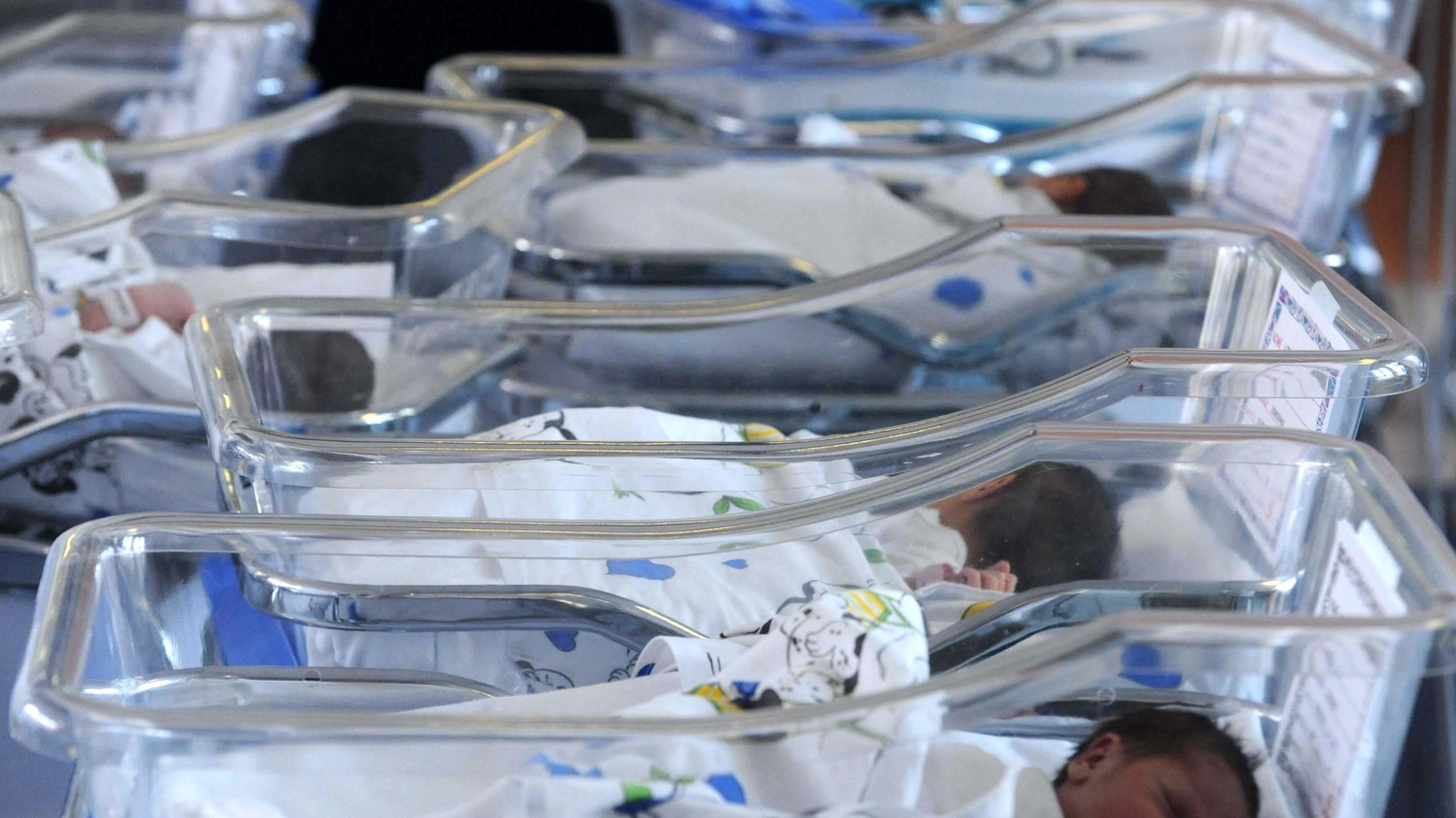 Lasciano i figli dopo il parto Venti i casi in pochi anni I dietrofront in ospedale Lasciano i figli dopo il parto Venti i casi in pochi anni I dietrofront in ospedale