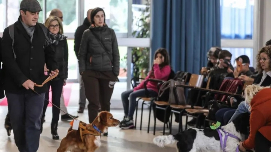 Fido protagonista il 26 febbraio, ecco come iscriversi alla sfilata