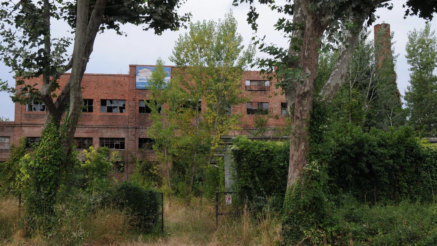 Una veduta dell’esterno dell’ex oleificio Borella a San Concordio (foto Alcide) Una veduta dell’esterno dell’ex oleificio Borella a San Concordio (foto Alcide)