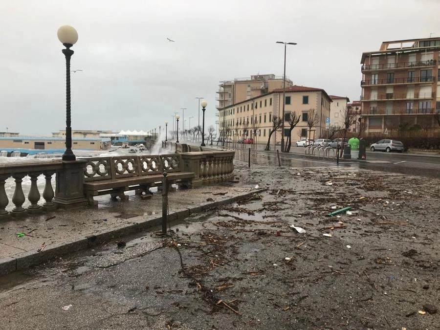 immagine di sfondo 2