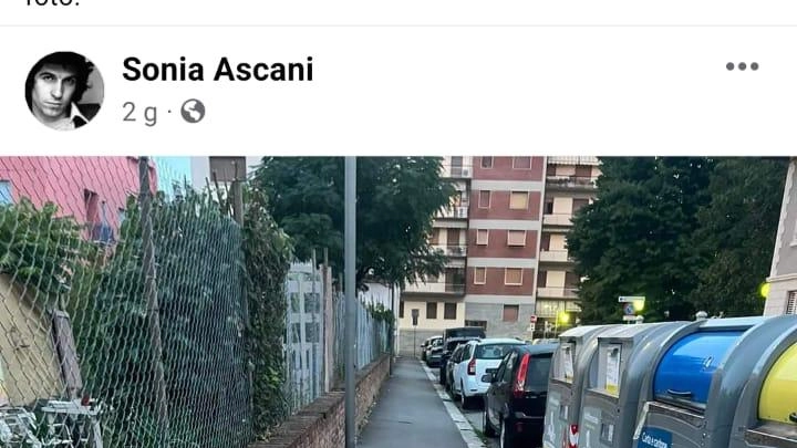 Strade dei quartieri invase dai rifiuti: "La gente lancia i sacchetti di notte" Strade dei quartieri invase dai rifiuti: "La gente lancia i sacchetti di notte"
