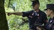Presto abbattute 55 piante secolari L’operazione sicurezza all’eremo Presto abbattute 55 piante secolari L’operazione sicurezza all’eremo