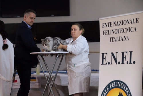 immagine di sfondo 16