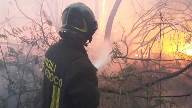 Stato di attenzione per gli incendi nei boschi in tutta l'Emilia Romagna