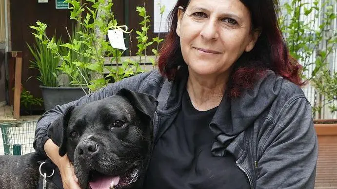 Scandalo al canile, direttrice arrestata Perquisita anche sede Enpa a Firenze Scandalo al canile, direttrice arrestata Perquisita anche sede Enpa a Firenze