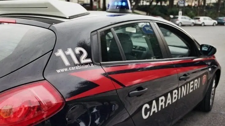 L'intervento dei carabinieri L'intervento dei carabinieri