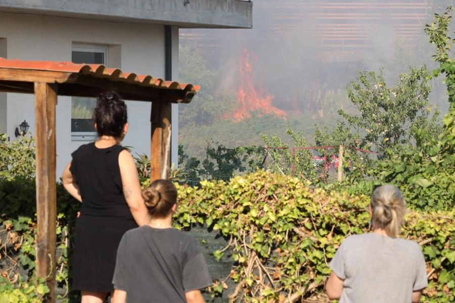 immagine di sfondo 10