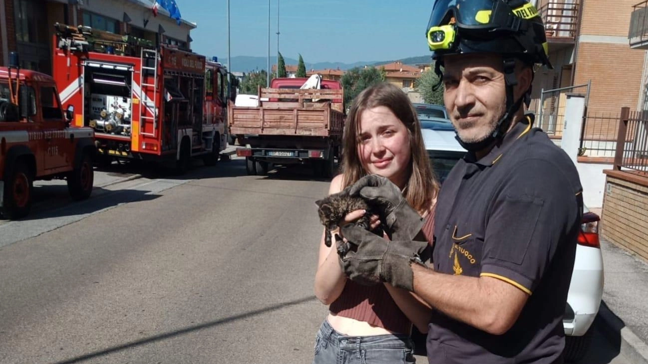 Gattino intrappolato in un tubo di scarico. Salvato dai pompieri Gattino intrappolato in un tubo di scarico. Salvato dai pompieri
