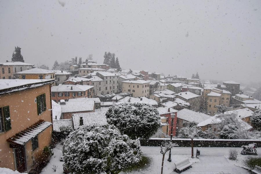 immagine di sfondo 10