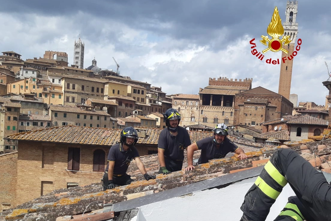L'intervento in Salicotto