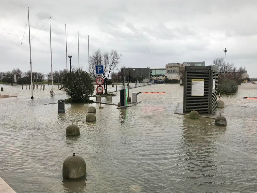 immagine di sfondo 7