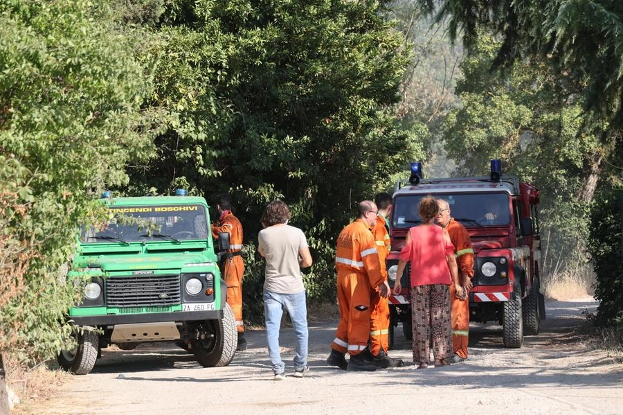 immagine di sfondo 37