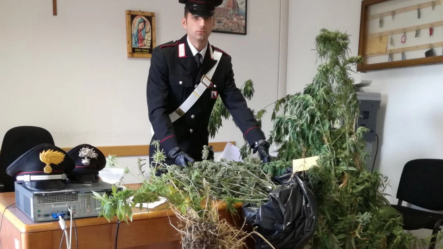 I carabinieri di Castello e la marijuana sequestrata (foto Germogli)