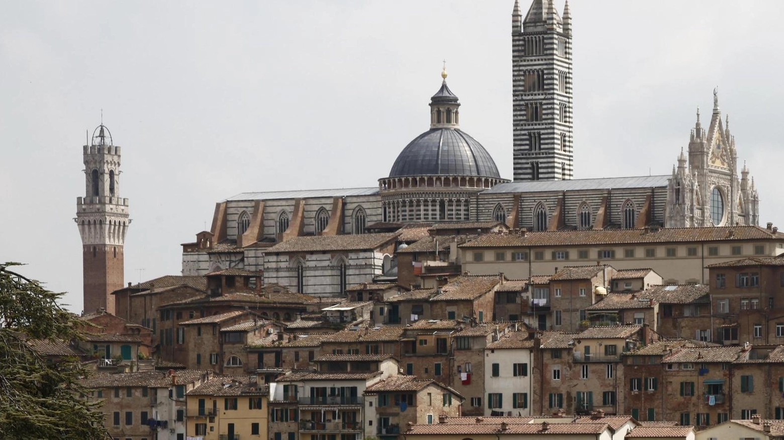 Siena premiata ’città più accogliente d’Europa’. Per la bibbia dei viaggiatori è un sogno gotico Siena premiata ’città più accogliente d’Europa’. Per la bibbia dei viaggiatori è un sogno gotico