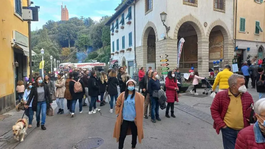 Migration Migration