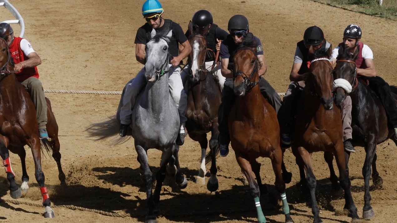 L’addestramento dei cavalli a Mociano avrà inizio martedì 11 aprile. L’ultima data sarà il 6  giugno