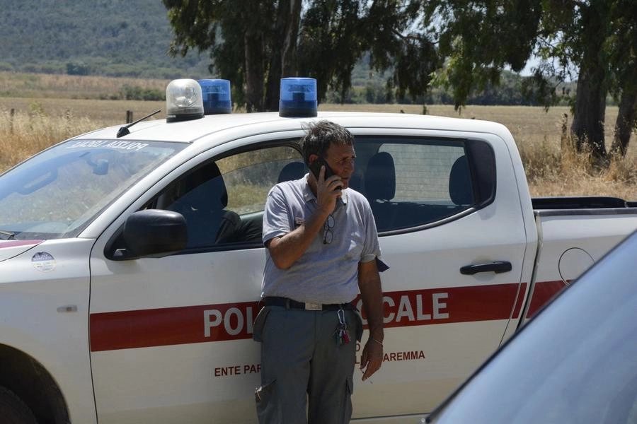immagine di sfondo 9