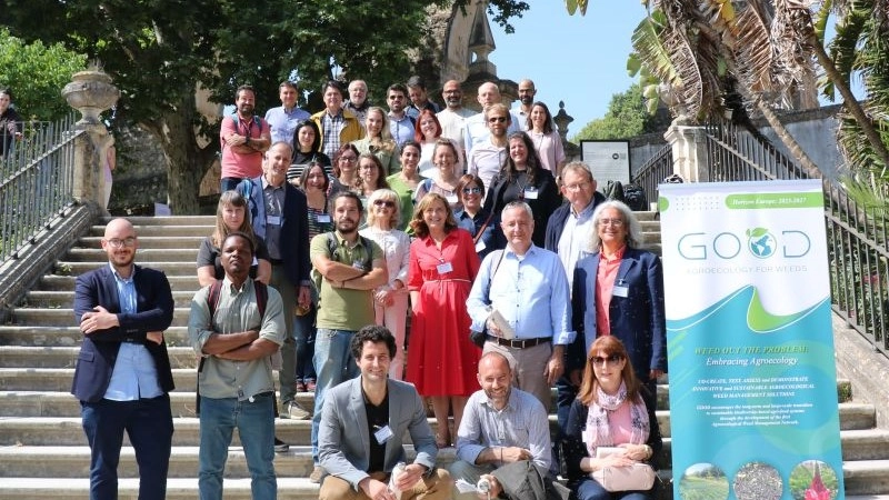 Il gruppo di ricerca