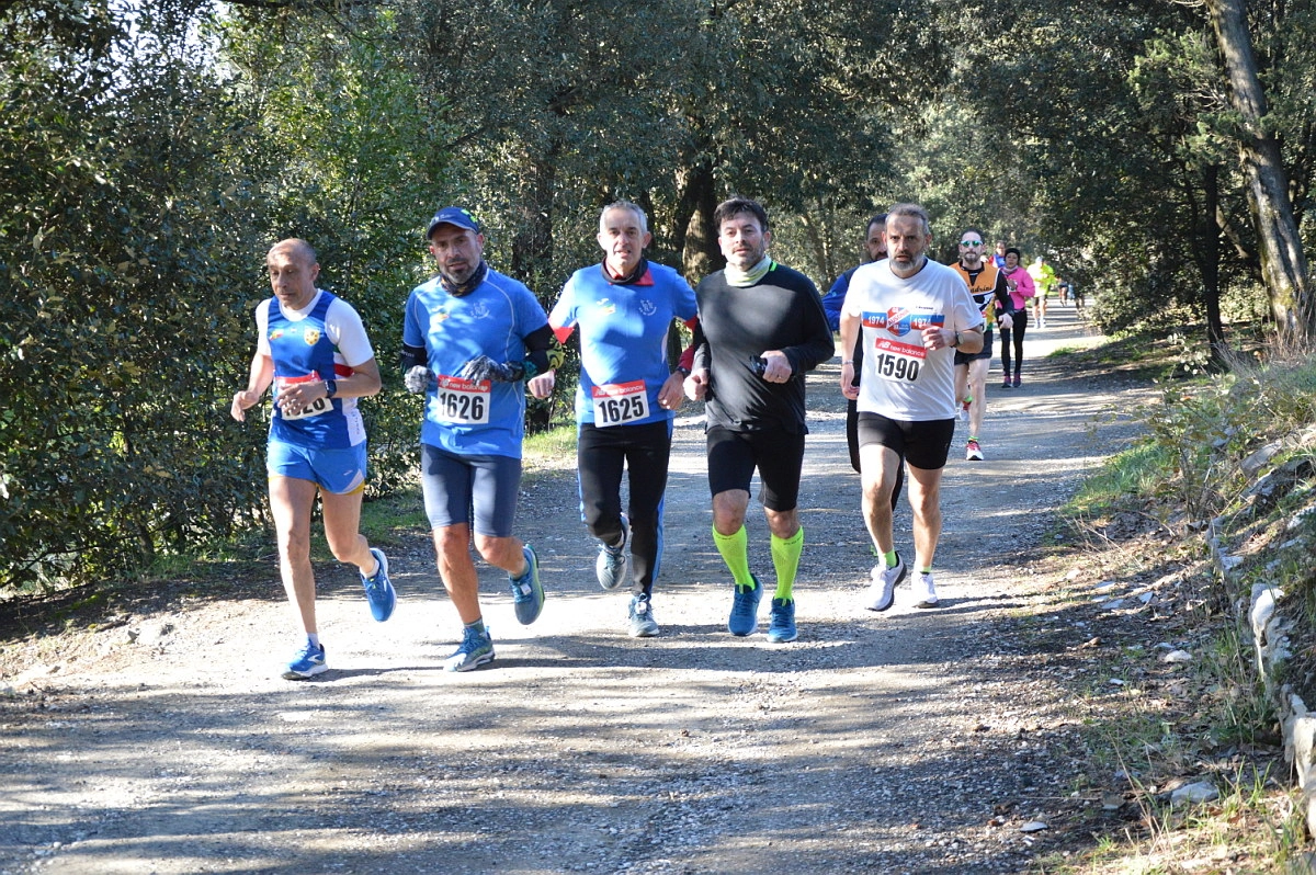 immagine di sfondo 6