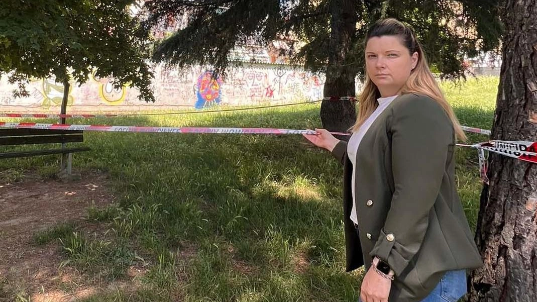 "Quel pino è pericoloso da mesi" Area circoscritta, Ellera protesta "Quel pino è pericoloso da mesi" Area circoscritta, Ellera protesta
