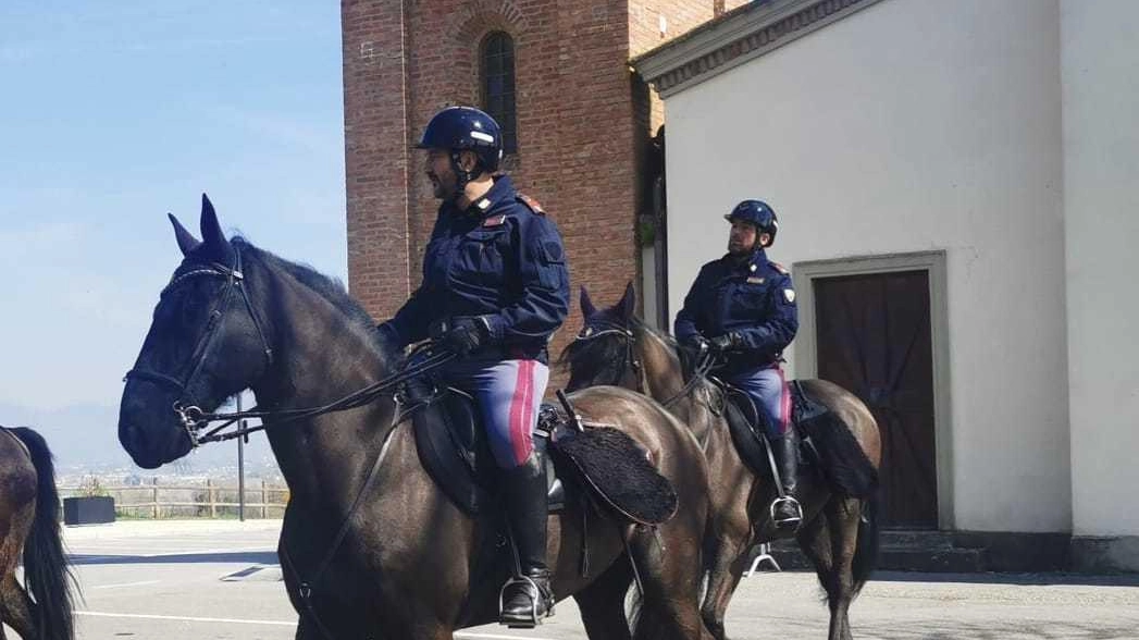 Cerbaie, anche i poliziotti a cavallo in azione nel bosco della droga