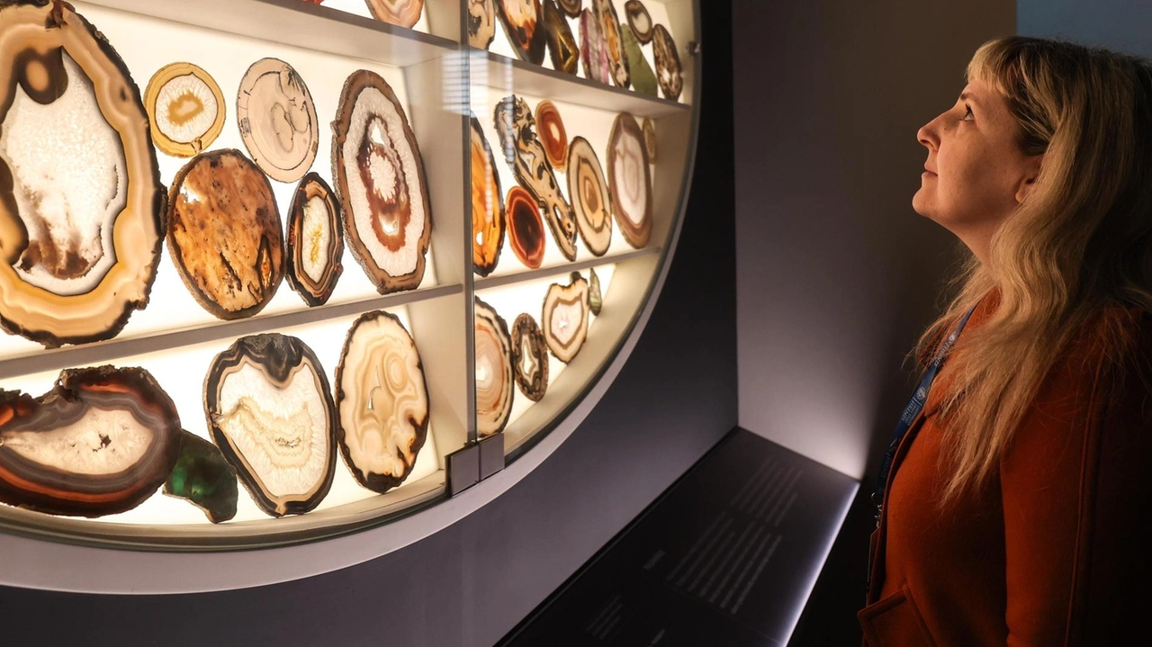 La scienza che si fa arte. Riapre la Specola. Tredici nuove sale per il gioiello di Firenze