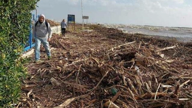 Mano tesa alle amministrazioni comunali di Sarzana e Ameglia per rimuovere la montagna di rifiuti dai rispettivi litorali. Il programma