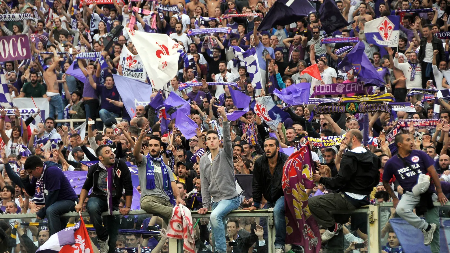 Tifosi viola Tifosi viola