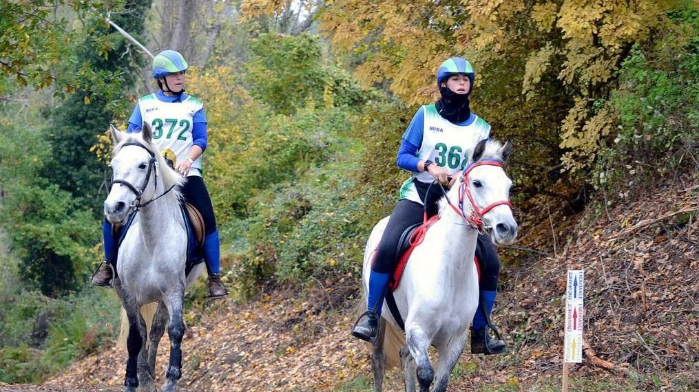 Endurance, arabi sul lago La ’spinta’ dei cavalieri Endurance, arabi sul lago La ’spinta’ dei cavalieri