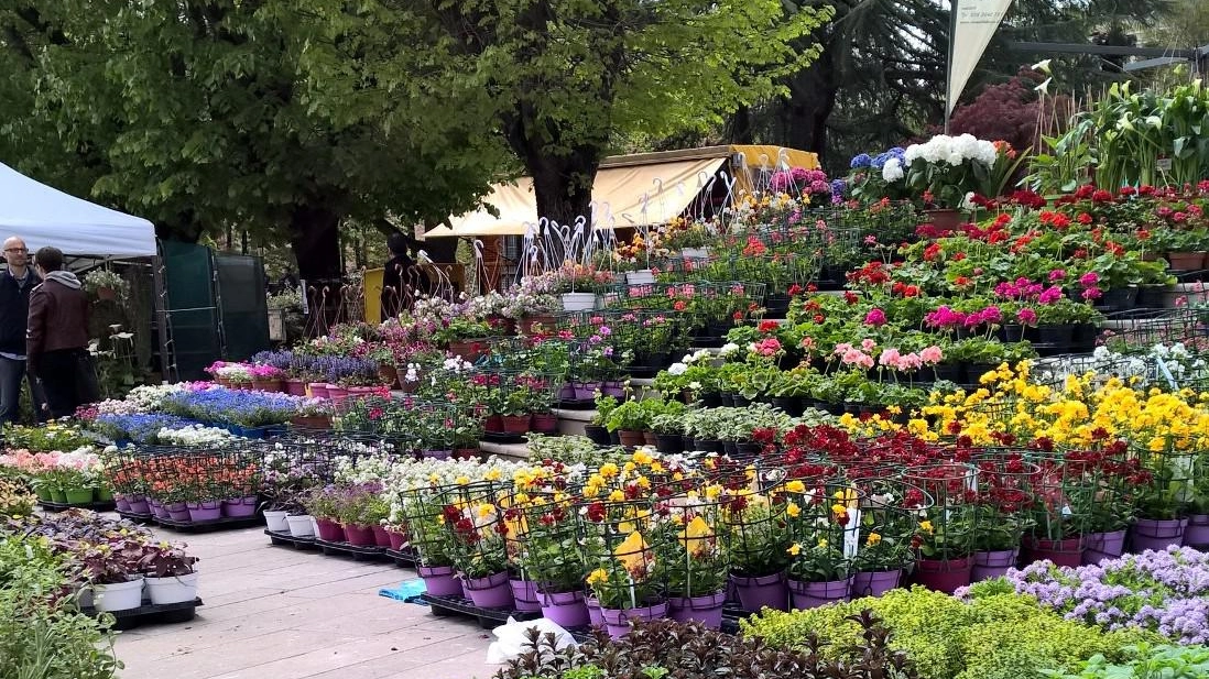 La ’Fiera verde’ fa sbocciare il centro storico La ’Fiera verde’ fa sbocciare il centro storico