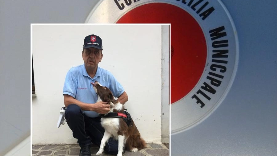 Piper, il cane antidroga della polizia municipale di Firenze