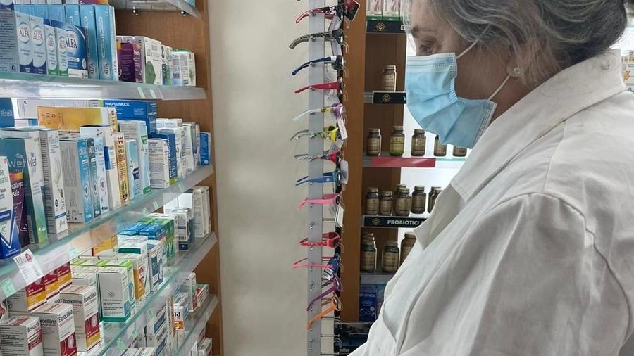Vaccini in una farmacia lucchese