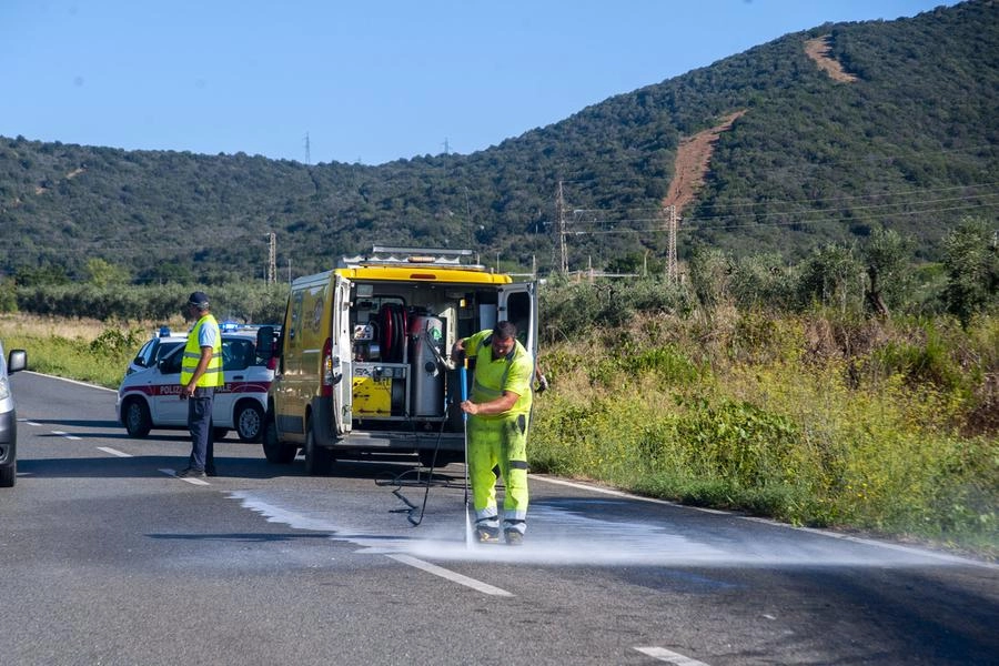 immagine di sfondo 8