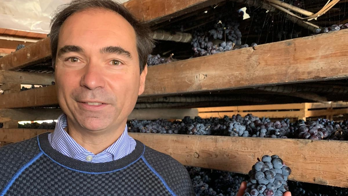 Leonardo Comucci, presidente de Il Santuccio