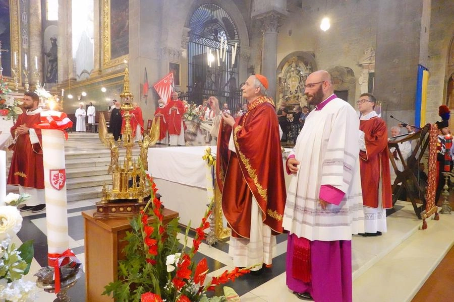 immagine di sfondo 7