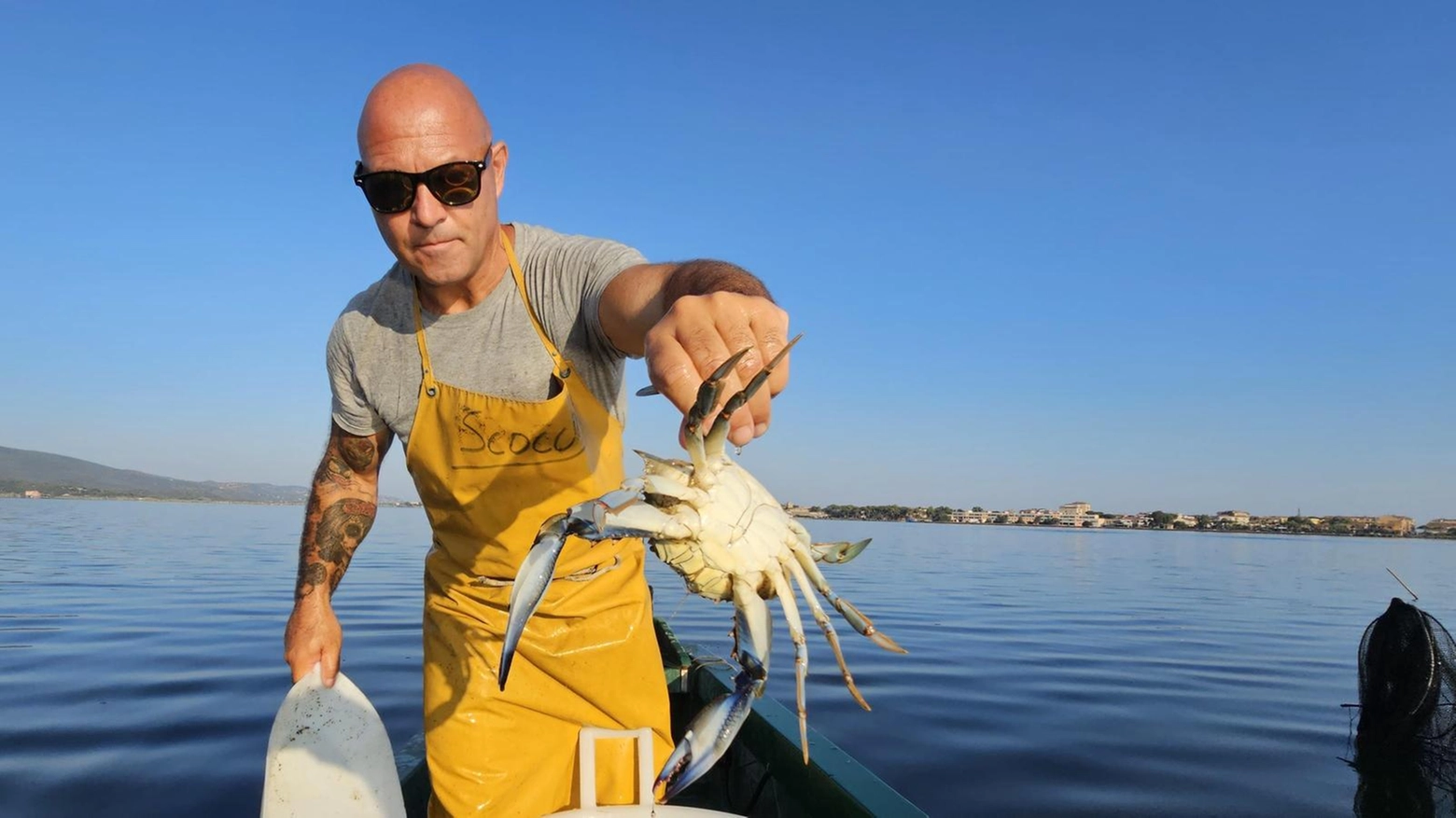 Specie aliene, è allarme. Piante e pesci sotto attacco: "E’ il cambiamento climatico" Specie aliene, è allarme. Piante e pesci sotto attacco: "E’ il cambiamento climatico"