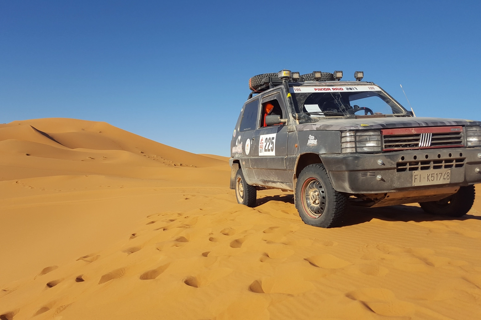 La Panda nel deserto