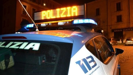 Anche la polizia spesso non può nulla di fronte a certi episodi (foto Ansa) Anche la polizia spesso non può nulla di fronte a certi episodi (foto Ansa)
