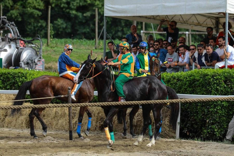 immagine di sfondo 18