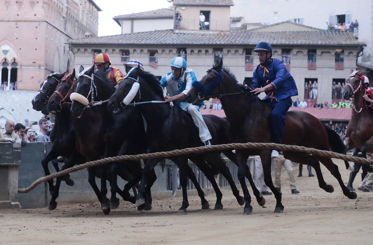 immagine di sfondo 6
