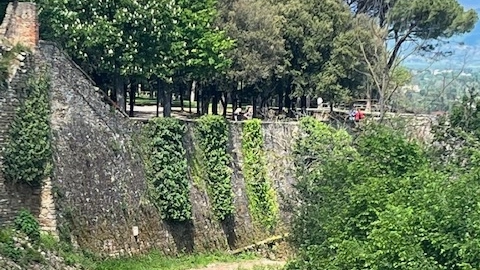 fortezza fortezza