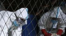 Scatta l’allarme aviaria Cordone sanitario Asl La zona rossa tocca tutti i Comuni versiliesi Scatta l’allarme aviaria Cordone sanitario Asl La zona rossa tocca tutti i Comuni versiliesi