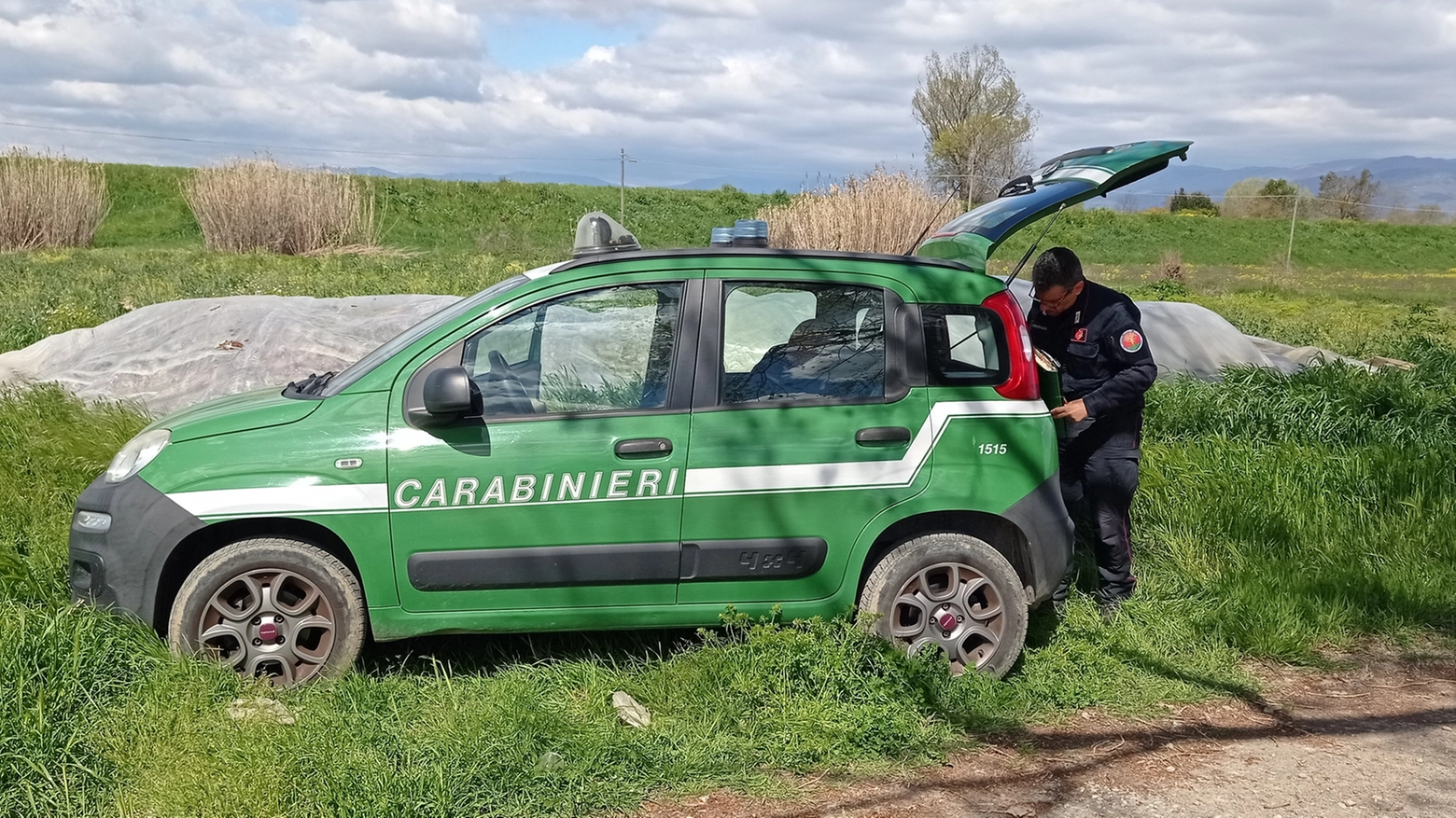 Il controllo Il controllo
