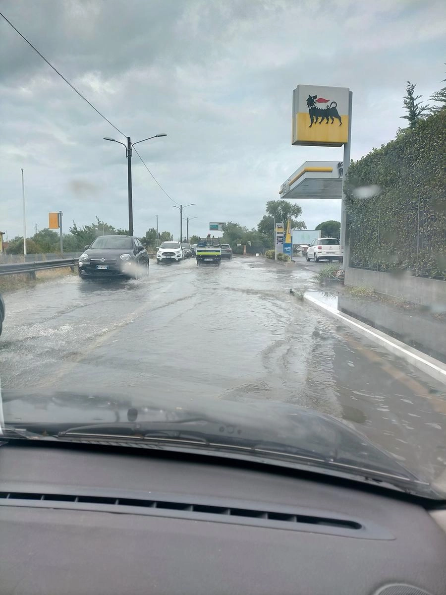 immagine di sfondo 1