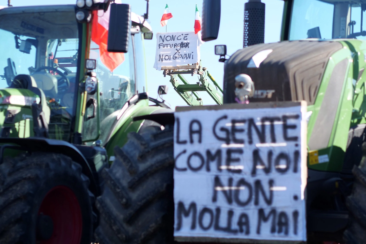 immagine di sfondo 17