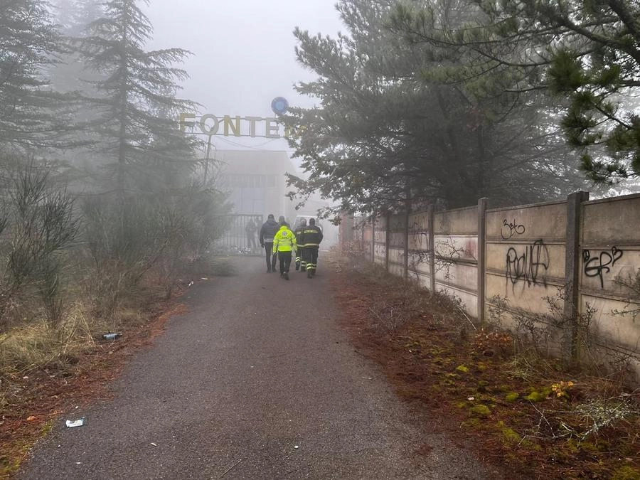 immagine di sfondo 1