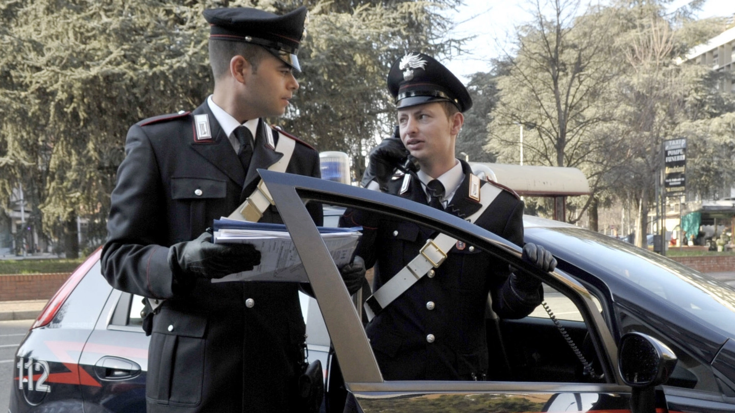 Erano stati i carabinieri del nucleo investigativo di Pisa a occuparsi dell’ultimo caso avvenuto a Migliarino