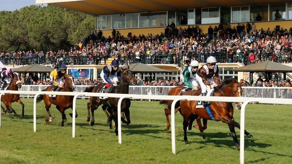 Riparte la stagione dell’ippodromo: "Festa e tradizione per tutta la città" Riparte la stagione dell’ippodromo: "Festa e tradizione per tutta la città"
