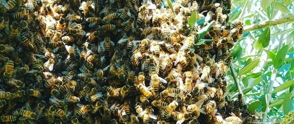 immagine di sfondo 8