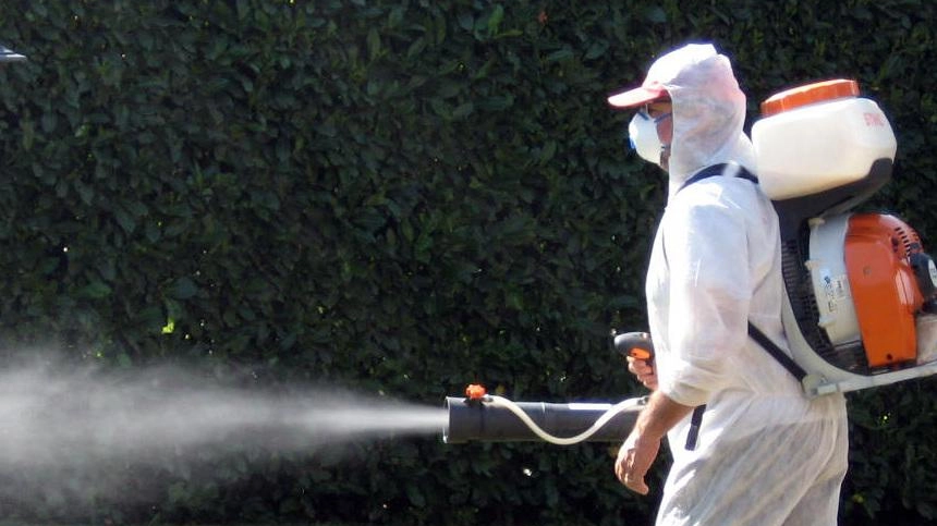 Dengue, nuovo caso. Via alla disinfestazione Dengue, nuovo caso. Via alla disinfestazione